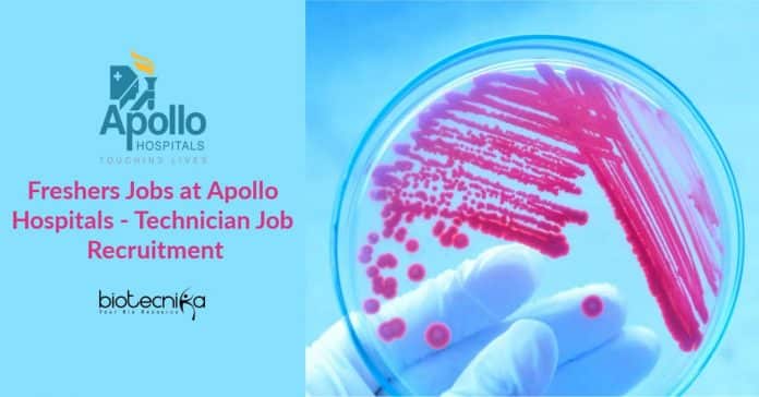 Freshers Jobs at Apollo