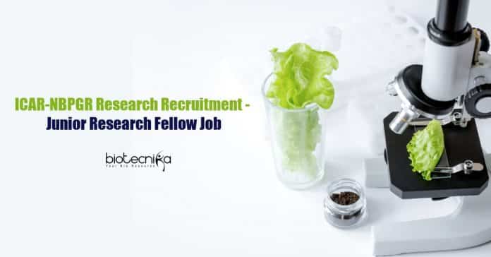 ICAR-NBPGR Research Recruitment