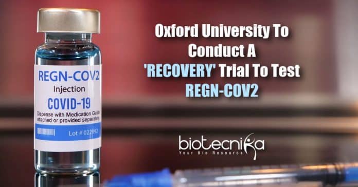 RECOVERY trial to test REGN-COV2