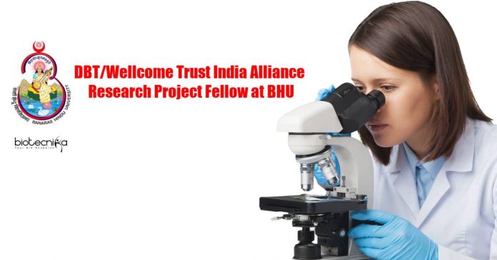 BHU Research Project Fellow