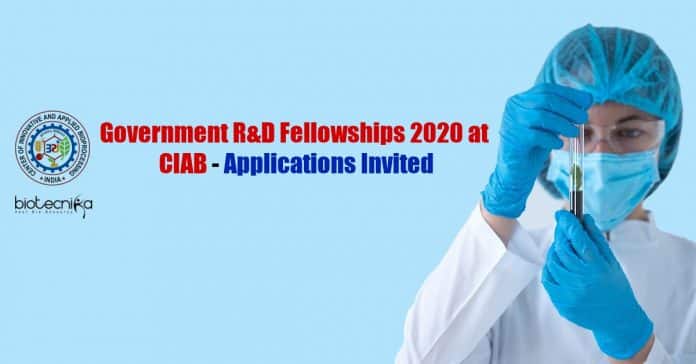 CIAB Fellowships R&D 2020