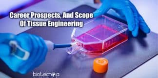 Tissue Engineering - Career Prospects