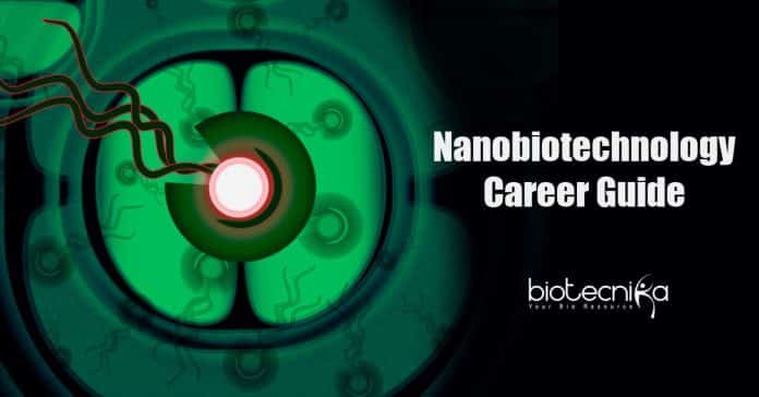 Nanobiotechnology career