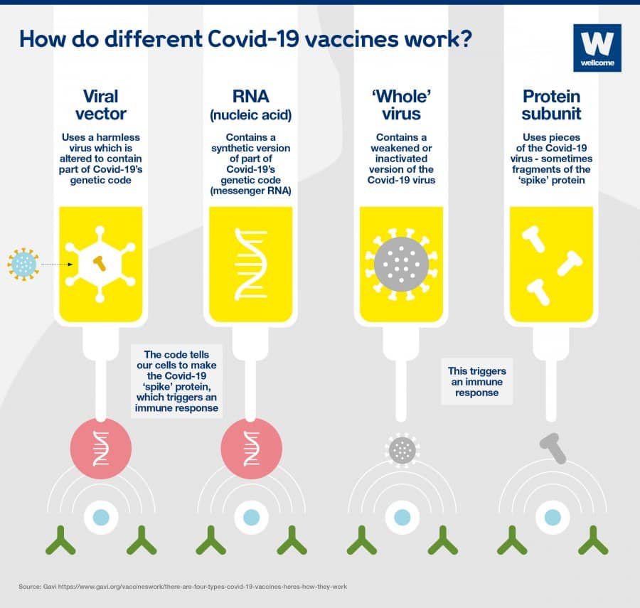 Coronavirus Vaccine Mechanism