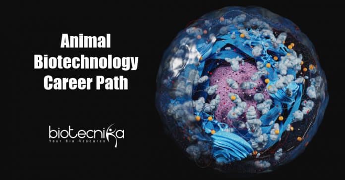Animal Biotechnology Career Opportunities