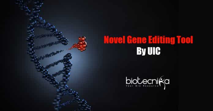 Novel gene-editing tool