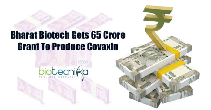 Covaxin Bharat Biotech gets 65 crore