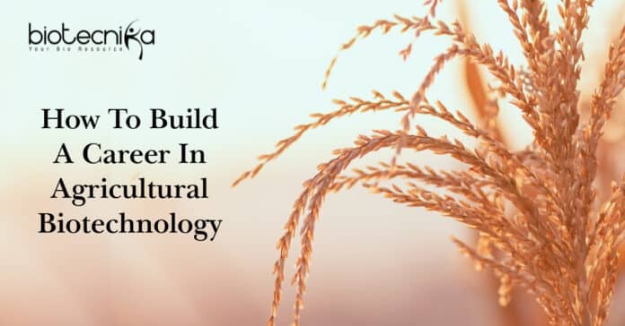 Agricultural Biotechnology Career Scope