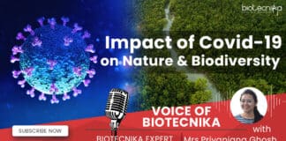 COVID-19 Impact on Nature