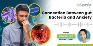 Gut Bacteria & Anxiety