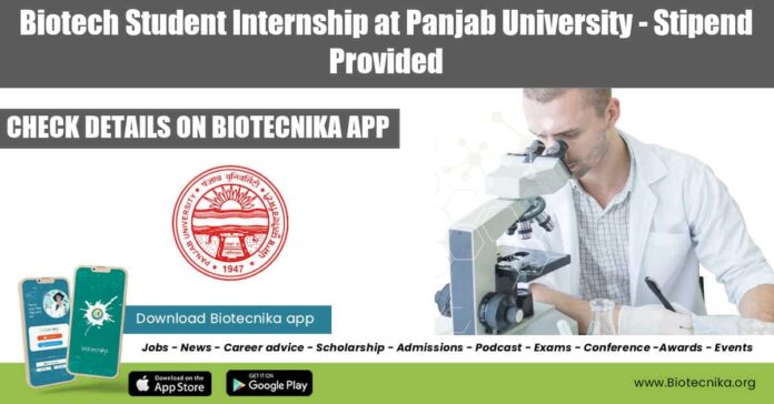 Biotech Student Internship