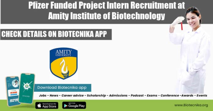 Amity University Project Intern