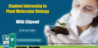 Student Internship Molecular Biology
