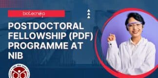 Postdoctoral Fellowship (PDF) Programme