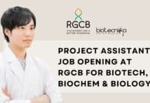 Project Assistant Job Opening