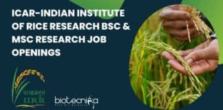 ICAR-IIRR BSc & MSc Research Job