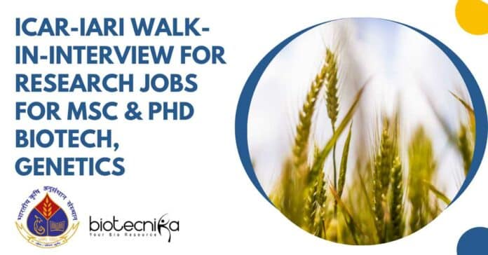 ICAR-IARI Walk-In-Interview For Research Jobs