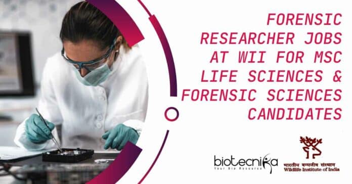 Forensic Researcher Jobs at WII For MSc Life & Forensic Sciences
