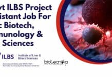 ILBS Project Assistant Job