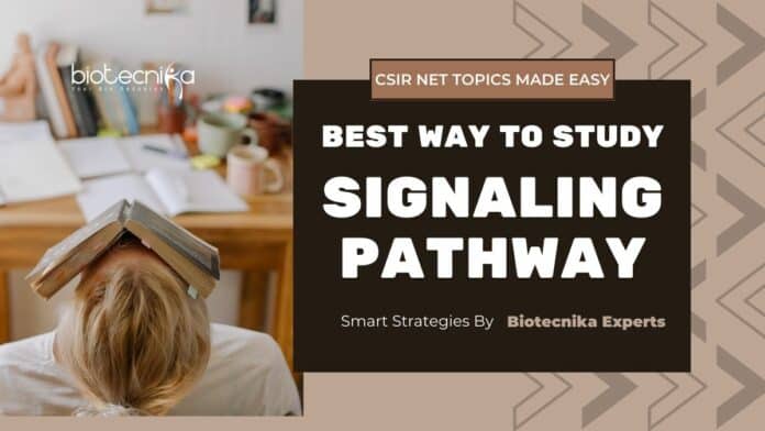 signaling pathway CSIR NET
