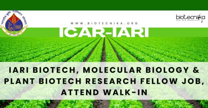 IARI Biotech Fellow Job