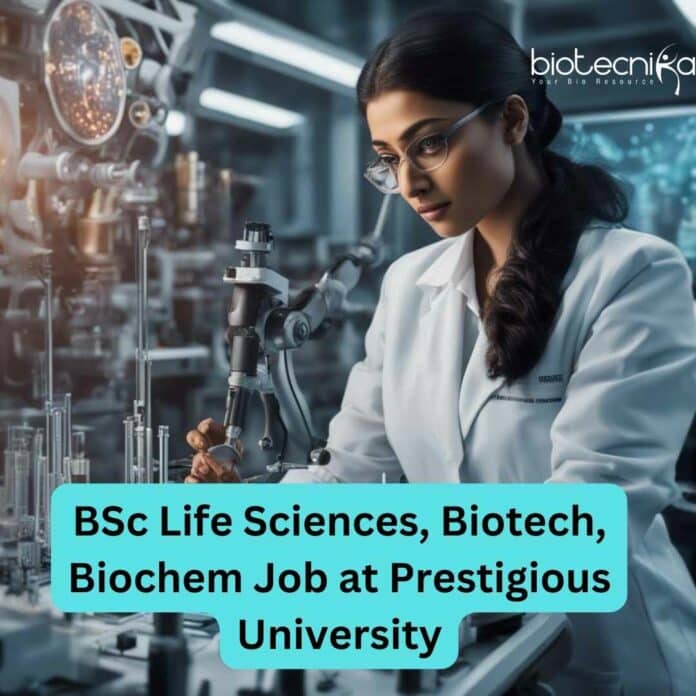 Panjab University BSc Lab