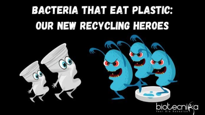 Bacteria That Eat Plastic