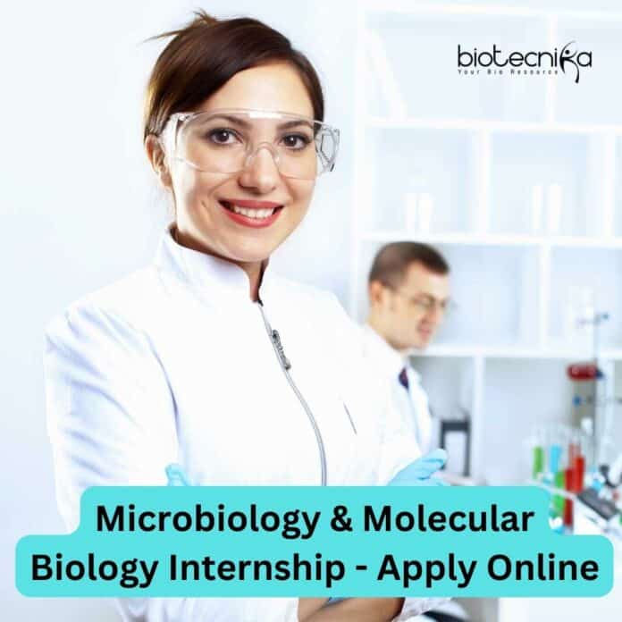 Molecular Biology Internship