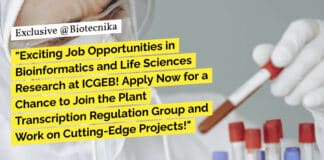 ICGEB Bioinformatics Life Sciences Research Positions at ICGEB