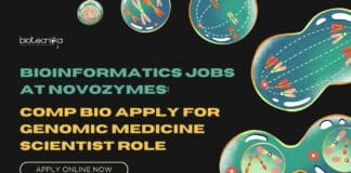 Bioinformatics Jobs at Novozymes