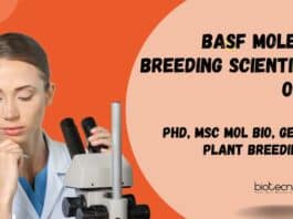 Scientist Molecular Breeding