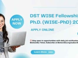 WISE Fellowship PhD (WISE-PhD) 2024