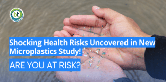 Health Risks Unveiled in New Microplastics Study