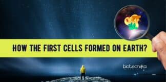 How the First Cells Formed on Earth