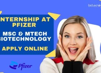 Biotechnology Internship at Pfizer