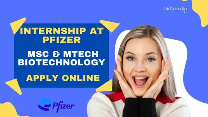 Biotechnology Internship at Pfizer