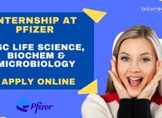 Pfizer Internship Opportunity