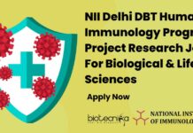 NII Delhi Project Research Job