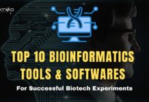 Top 10 Bioinformatics Tools