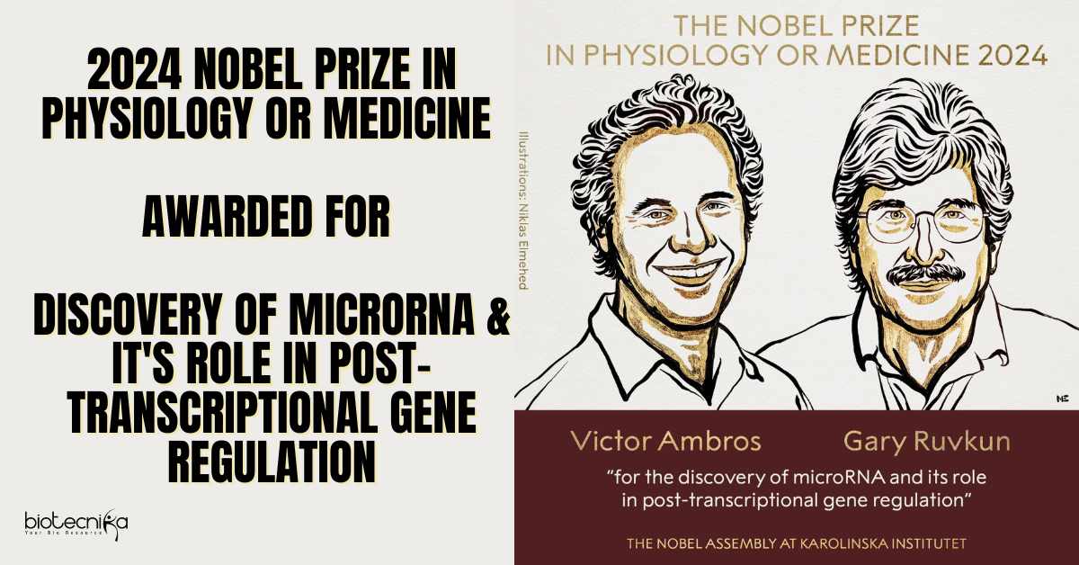 2024 Nobel Prize: MicroRNA's Discovery and Its Significance