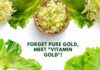 Golden Lettuce Genetic Engineering