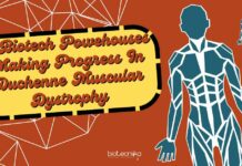 6 Biotech Powerhouses Making Progress In Duchenne Muscular Dystrophy