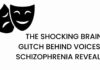 Schizophrenia Hearing Voices Research - Why Does It Happen!