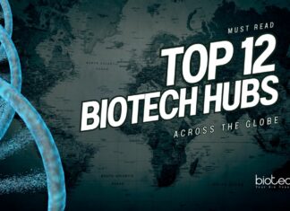 Top 12 Biotech Hubs