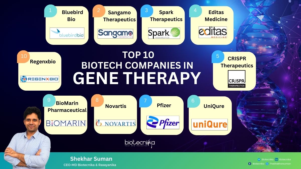 Top Gene Therapy Companies Fighting Rare Diseases